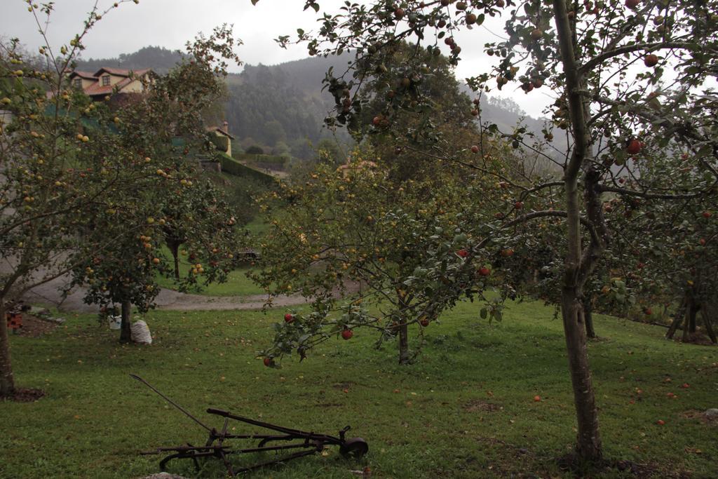 Trisqueles Y Buganvillas Villaviciosa  Exterior foto